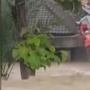Nyaris Terseret Arus, Ini Detik-detik Petugas BPBD Berjibaku Selamatkan Teman di Banjir Grobogan