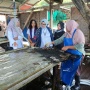 Belajar Budidaya Mutiara, Fery Farhati Ajak Masyarakat Jaga Laut Indonesia Tetap Bersih