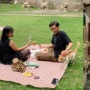 Hangout Asyik Bareng Anabul, Ini 4 Rekomendasi Cafe Pet Friendly di Bandung