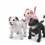 Harga Rp 45 Juta, Sony Rilis Robot Anjing Peliharaan dengan Fitur AI
