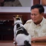 Bobby Kucing Prabowo Siap Masuk ke Istana Negara, Begini Komentar Kocak Netizen
