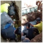 Ngamuk Tak Dapat Suara, Caleg di Donggala Paksa Warga Bongkar Makam di Atas Tanah Wakafnya