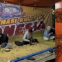 4 Tempat Makan Kuliner Malam di Sekitar UGM Jogja, Murah dan Lezat