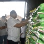 Komisi IV Minta Pemerintah Pastikan Beras Bulog Terdistribusi Merata untuk Tekan Kenaikan Harga
