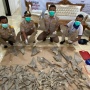 Teknologi DNA Jadi Kunci Selamatkan Hiu dan Pari, Tapi Indonesia Terkendala Biaya