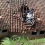 Kocak! Detik-detik 2 ABG Nyangkut  Naik Motor di Genteng Rumah Warga