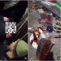 Hotman Paris Kawal Kasus Anak di Bawah Umur Lampung Digilir 10 Orang, Fakta Mengejutkan Terungkap