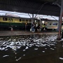 Banjir Kepung Kota Semarang, Lobi Hingga Rel Kereta Kereta Bak 'Kolam Ikan'