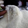 Mentan Bongkar Borok Produsen Beras Oplosan! Wilmar, Food Station, Japfa Hingga Alfamidi Terseret?