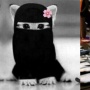 25 Foto PP Kucing Ramadhan 2024 Lucu: Cosplay Pak Ustaz hingga Berhijab