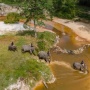 Bukan Sekadar Hutan, Menhut Sebut Konservasi Gajah Kini Jadi Urusan Lintas Sektor