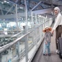 Pengalaman Tiada Batas Mudik Duluan