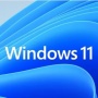 Kerap Dianggap Sulit, Begini Cara Aktifkan Efek Transparan di Windows 11