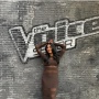 Cetak Sejarah, Anggun C Sasmi Tampil di The Voice Kanada dan The Voice Italia