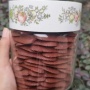 Banyak Diincar Saat Lebaran, Ini Resep dan Cara Membuat Kue Lidah Kucing Cokelat
