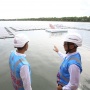 PLN Indonesia Power Kebut Pembangunan PLTS 500 MW dari Proyek Hijaunesia
