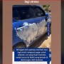 Viral Mobil Swift Dicat Pakai Cat Tembok, Bagaimana Cara Menghilangkannya?