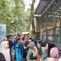 Pengunjung Kebun Binatang Ragunan Sudah Tembus 23 Ribu, Diprediksi Terus Bertambah