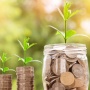 Gaya Hidup Frugal Living: Upaya Jaga Kestabilan Ekonomi dan Bumi