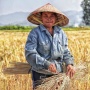 Bagaimana Teknologi Ramah Lingkungan Bisa Bantu Petani Kurangi Emisi dan Biaya Produksi?