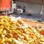 Pedagang Mengeluh Anjloknya Penjualan, Ratusan Buah Pepaya Dibuang ke Jalan di Pasar Induk Kramat Jati
