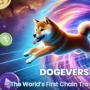 Dogeverse ($DOGEVERSE), Koin Meme Multichain Pertama di Dunia Mendekati $1 Juta dalam 2 Hari Setelah Dimulainya Presale
