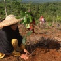 Telkom Dukung Pemulihan 82,1 Ha Lahan Kritis melalui Reboisasi 33.800 Bibit Pohon