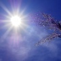 Apa Itu Heatwave? Kenali Penyebab dan Bahaya Fenomena Cuaca yang Diduga Bikin Indonesia Panas