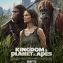 Sinopsis Kingdom of the Planet of the Apes, Ketika Peradaban Kera Menguasai Bumi