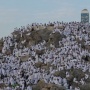 Calon Haji Lansia Kesulitan Wukuf di Arafah, Kemenag Siapkan Safari Wukuf untuk 300 Orang