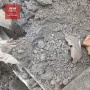 Pasca Gunung Ruang Erupsi, Banyak Relawan dan Petugas Evakuasi Hewan Peliharaan yang Terjebak Di balik Reruntuhan
