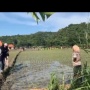 Viral Diduga Rusak Sawah Petani di Jogja, Komunitas Motor Ini Banjir Kecaman