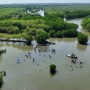 Selamatkan Pesisir Pantura, Eiger Tanam 10.000 Pohon Mangrove