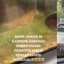 Viral Mobil Pengunjung Taman Safari Mogok di Kawasan Harimau, Sempat Trauma Kehabisan Oksigen Hingga Diterkam!