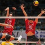 Hasil Proliga 2024: Bhayangkara Presisi Hantam Pertamina Pertamax 3-0