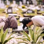 Cium Makam Adjie Massaid, Thariq Halilintar Minta Izin Nikahi Aaliyah Massaid