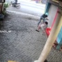 Lagi Asik Menyapu, Emak-emak di Sidoarjo Jadi Korban Jambret, Pelaku Bawa Celurit