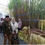 Musim Giling PTPN 1 Mulai dengan Petik Tebu Manten, Dorong Ekonomi Warga Jatiroto