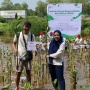BRI Life Bersama 27 Perusahaan Anggota AAJI Tanam 2.000 Bibit Pohon Mangrove