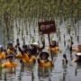 Peringati Hari Keanekaragaman Hayati, ABM Group Libatkan 100 Volunteers untuk Tanam 600 Bibit Pohon