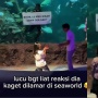 Viral Seorang Wanita Melamar Pacarnya di Seaworld, Netizen Malah Cibir: Cowoknya Nggak Mau Duluan?