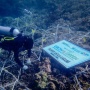 BRI Dukung Pelatihan Sadar Wisata Hingga Sertifikasi, Masyarakat Ujung Bulo Makin Mandiri