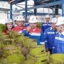 Pertamina Patra Niaga Lakukan Pendataan Ulang Pengguna LPG 3 Kg