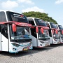 Viral PO Nagita Transport Disebut Milik Nagita Slavina, Ini Fakta Sebenarnya