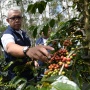 Surveyor Indonesia Gelar Giat Panen Raya Kopi dan Peresmian Gudang Pupuk