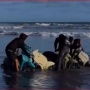 Sekelompok Pemuda Diduga Cuci Motor di Pantai, Warganet : Belagak Bule