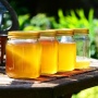 5 Jenis Kemasan Makanan yang Ramah Lingkungan