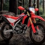 Intip Harga Honda CRF250L per Juni 2024, Motor Trail Andalan Para Penjelajah