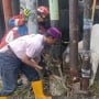 Detik-detik Damkar Evakuasi Sapi Kurban Ngamuk di Jaktim