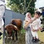 Moana Nangis Lihat Sapi yang Disembelih, Ria Ricis Gercep Klarifikasi